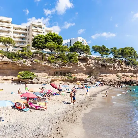 Arenda Pino Alto Cristal 8